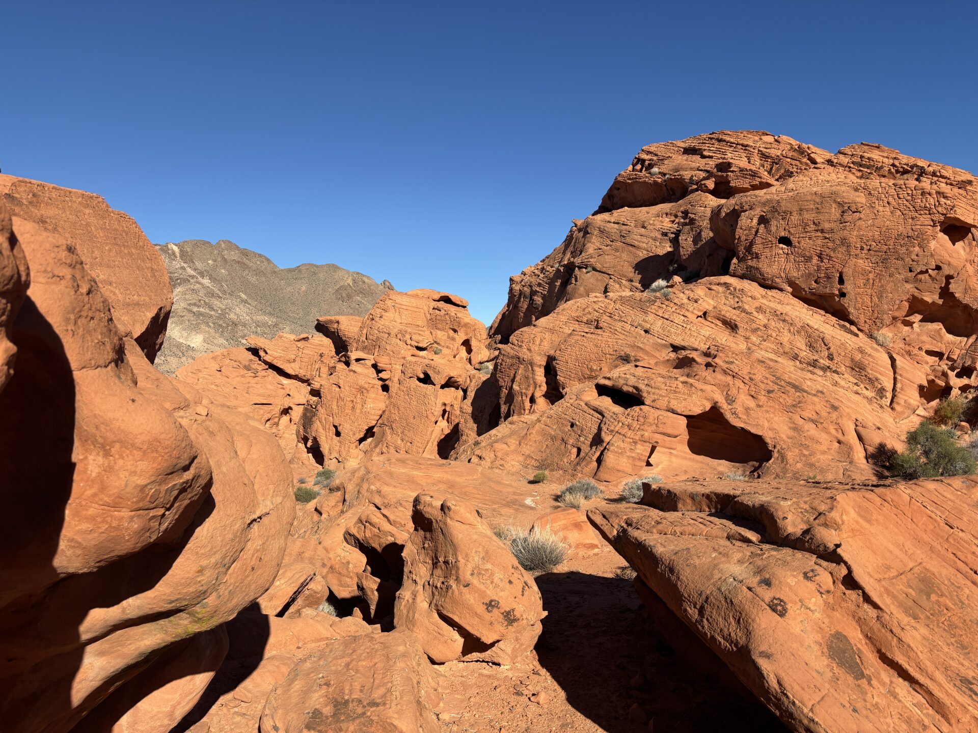 Aussichtspunkt im Valley of Fire State Park Nevada